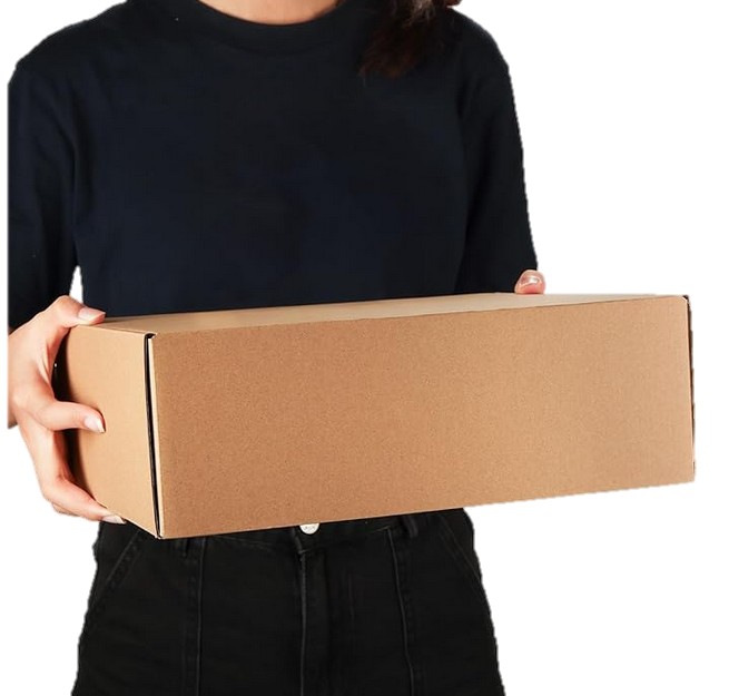 Image of person holding the mailer box